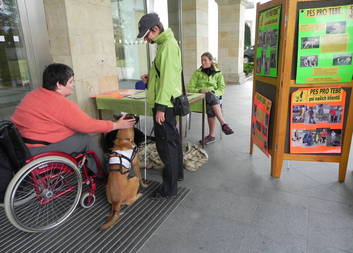 Charity seznamují širokou veřejnost se svojí činností a posláním 