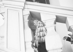 Tříkrálové koledování v arcibiskupském paláci