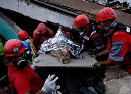 Zemětřesení na Haiti 2010