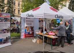 Prezentace ACHO na Majálesu ´23 v Olomouci.