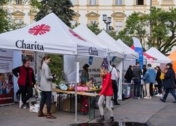 Prezentace ACHO na Majálesu ´23 v Olomouci.