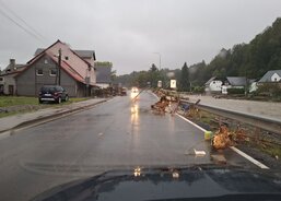 Monitoring postižených oblastí Bělá a Domašov. (Foto R. Neugebauer, Fotoarchiv ACHO)