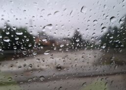 Monitoring postižených oblastí Bělá a Domašov. (Foto R. Neugebauer, Fotoarchiv ACHO)