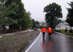 Monitoring postižených oblastí Bělá a Domašov. (Foto R. Neugebauer, Fotoarchiv ACHO)