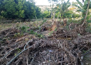 Povodeň v Baie de Henne: lidé spí na zemi, Charita Česká repubika a Arcidiecézní charita Olomouc spojily síly na pomoc Haiti