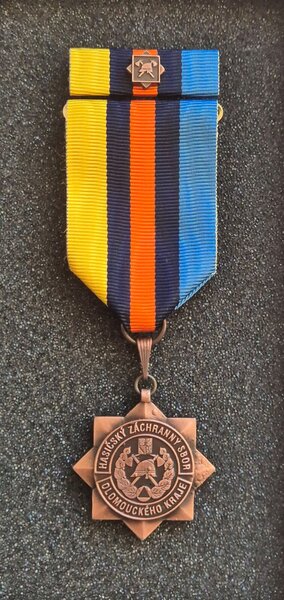 20251107_083816 medaile